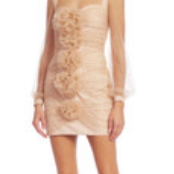 Badgley Mischka Party Crystal-Embellished Mini Dress Blush Size 2 NWT $595 - Picture 7 of 7